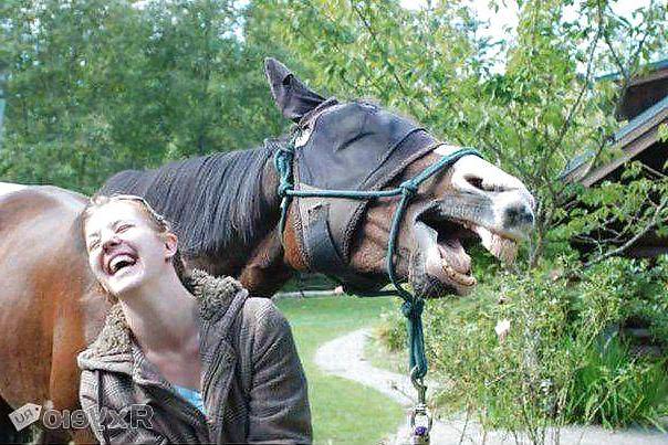 8P Funny