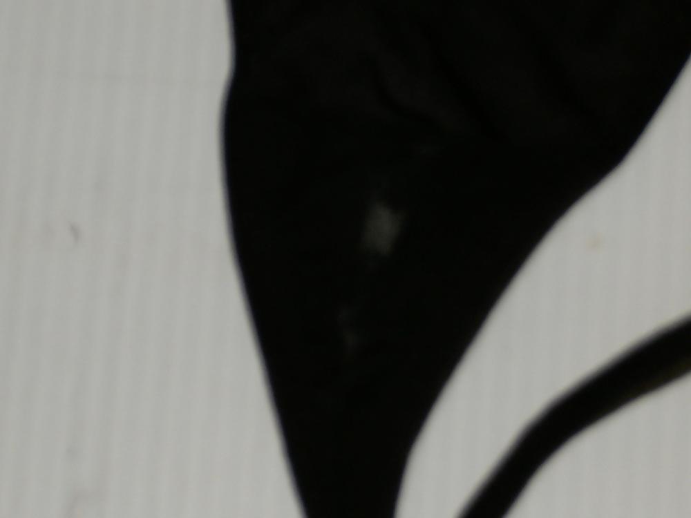 13P More of ex whore sarsh jackson