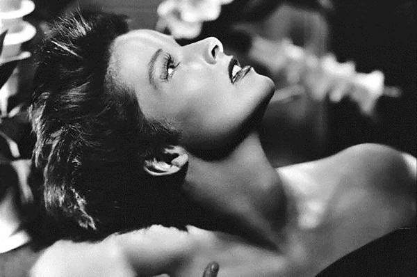 25P Let's Jerk Off Over ... Katharine Hepburn