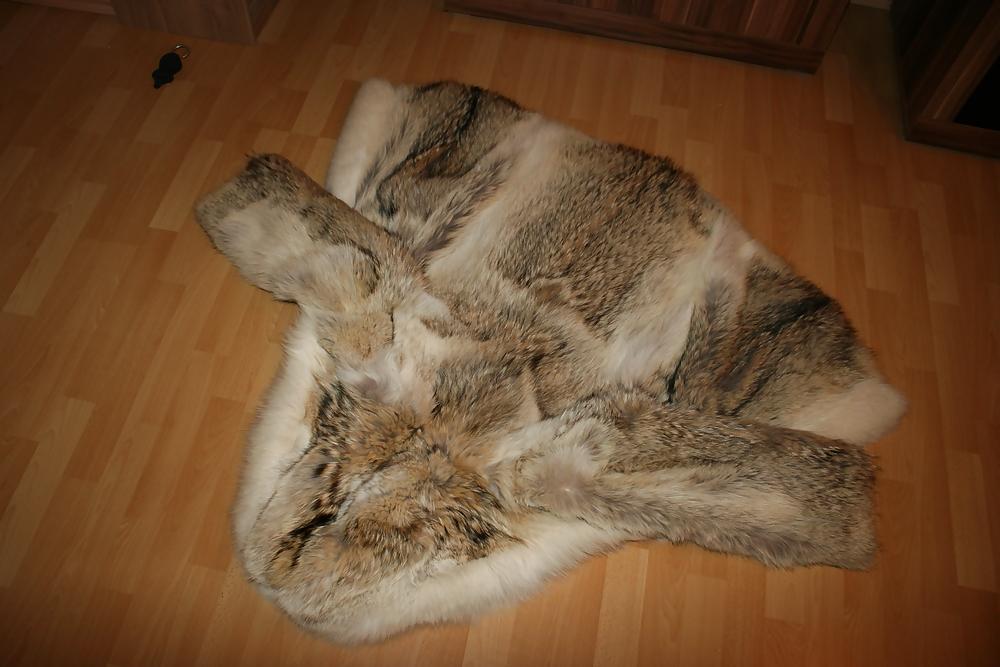 9P My Fur Coats...