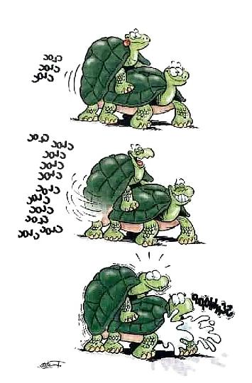 12P Funny