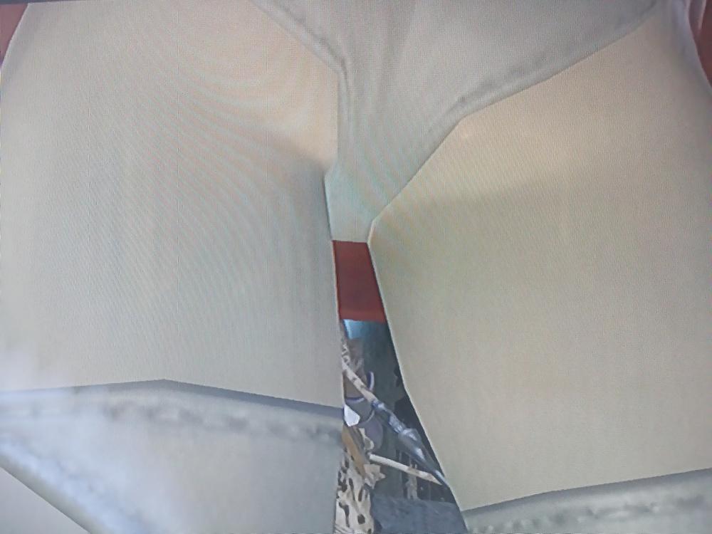 14P Video Game Upskirts
