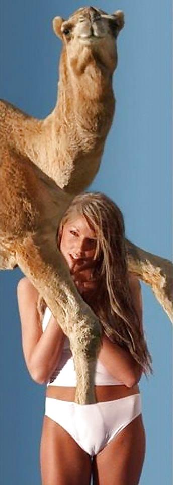 11P CAMELTOE PART 5