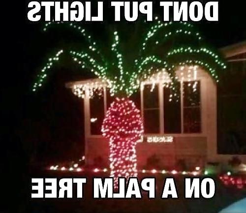 4P Funny 2