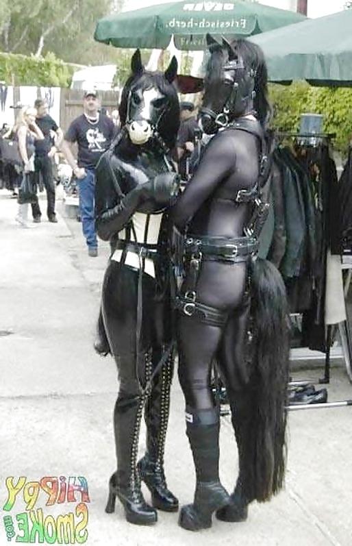 25P Ponygirl