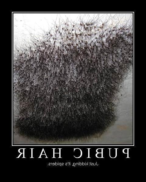 25P More Funnies