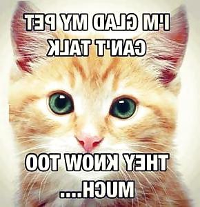 25P More Funnies
