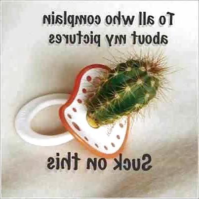 25P More Funnies