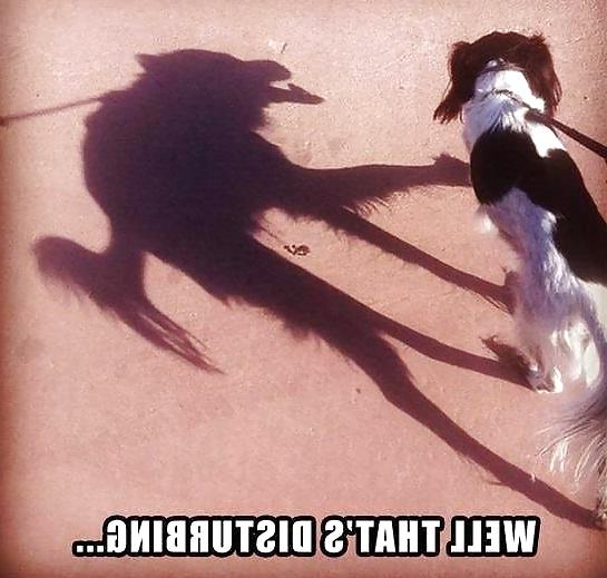 25P More Funnies