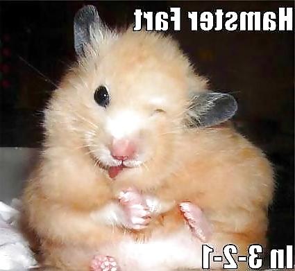 25P More Funnies