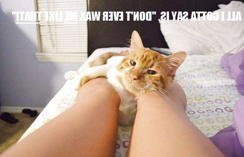 20P CDII Funny Sexy Captioned Pictures & Posters 032614