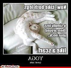 25P Funny, random pics3