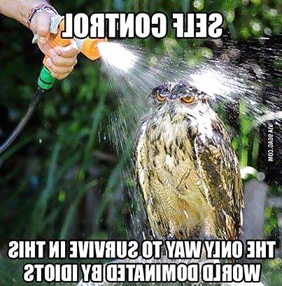 25P Funny, random pics3