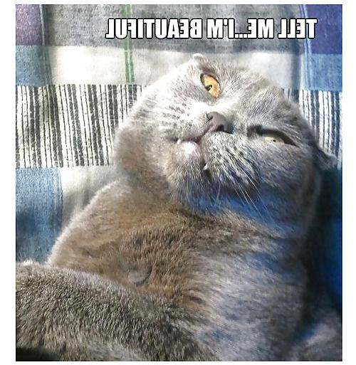 25P Funny, random pics3