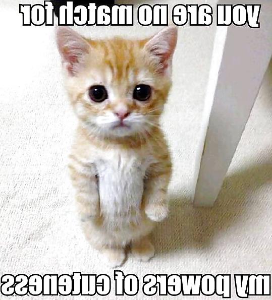 25P Funny, random pics3