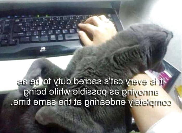 25P Funny, random pics3