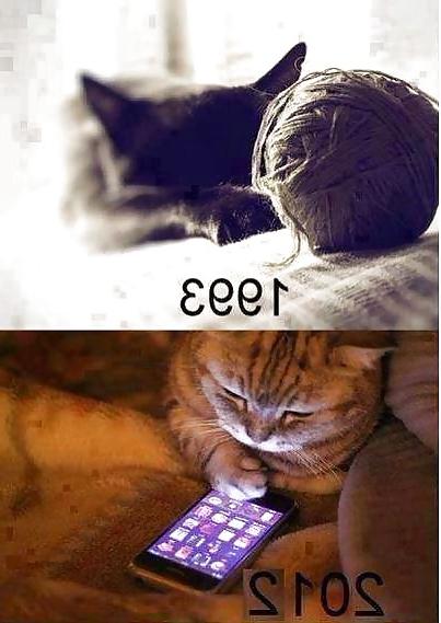 25P Funny, random pics3