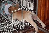 25P Funny, random pics3