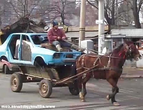 12P Collection of funny stuff!