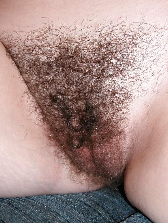 25P Natural or Bald Pussy, all good 