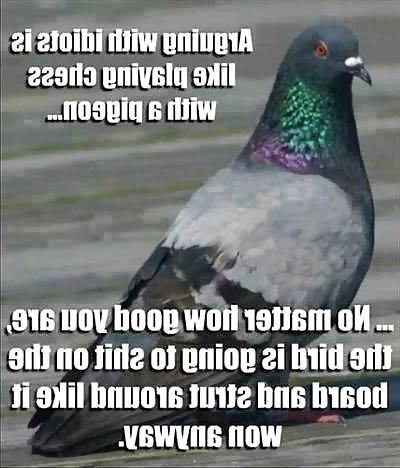 25P Things that make me laugh IV