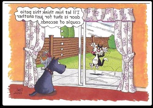 14P A few more funnies 