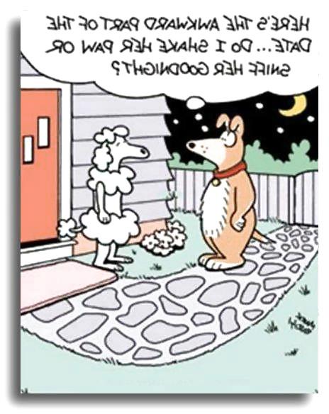 14P A few more funnies 