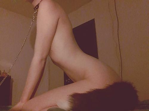 25P Fox Tails