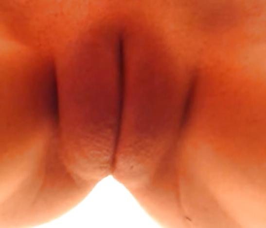 20P Love her Phat Cameltoe Pussy