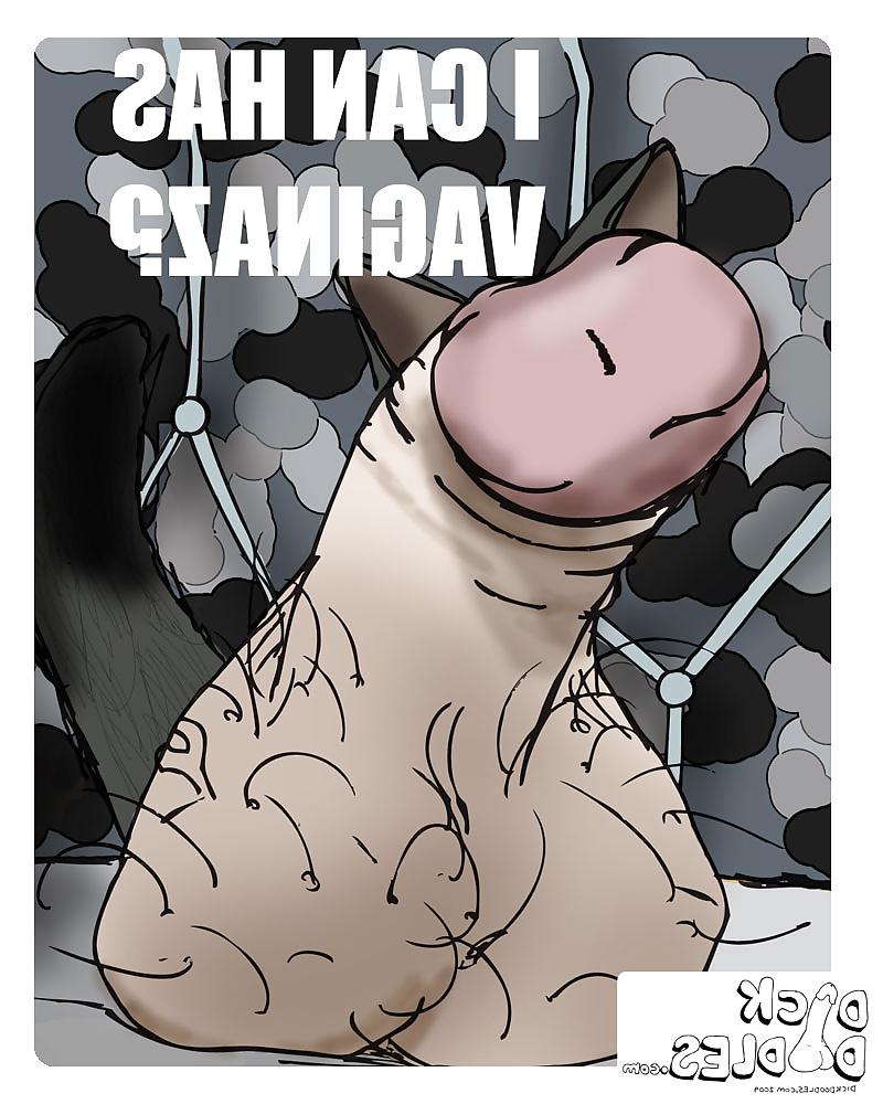 20P Funny cartoon pics