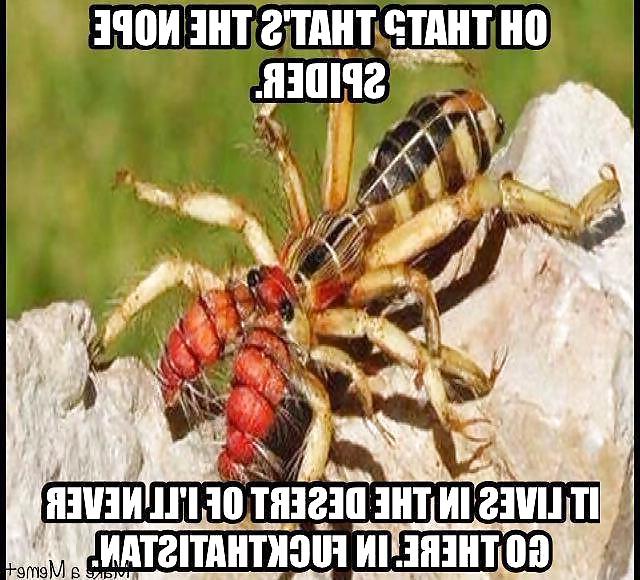 8P Funny stuff i hope makes you laugh