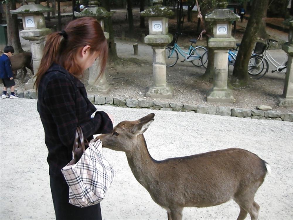 20P Japanese Couple Collection 51 - Rituko 2