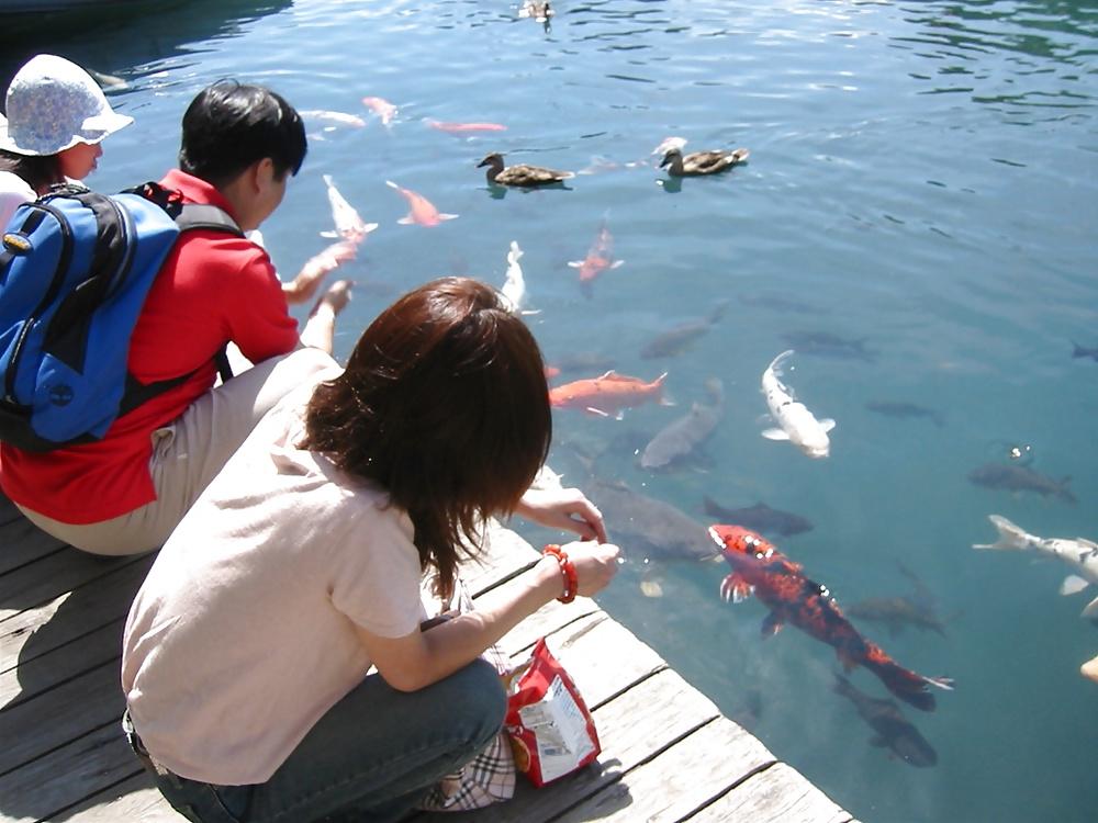 20P Japanese Couple Collection 51 - Rituko 2