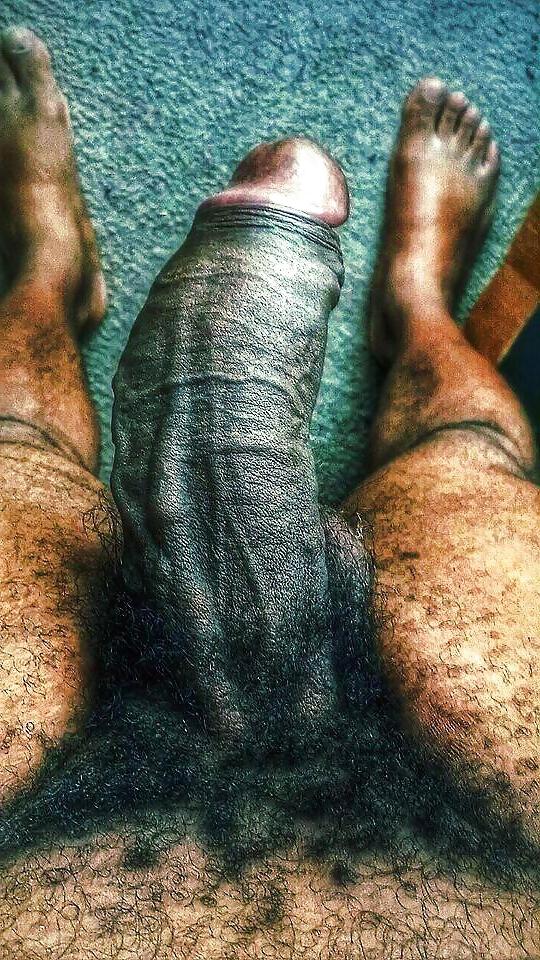25P Hairy a fur