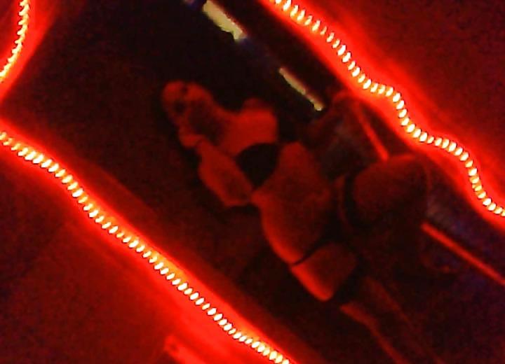 24P 15.11.2011 frankfurt Whorehouse Leierkasten