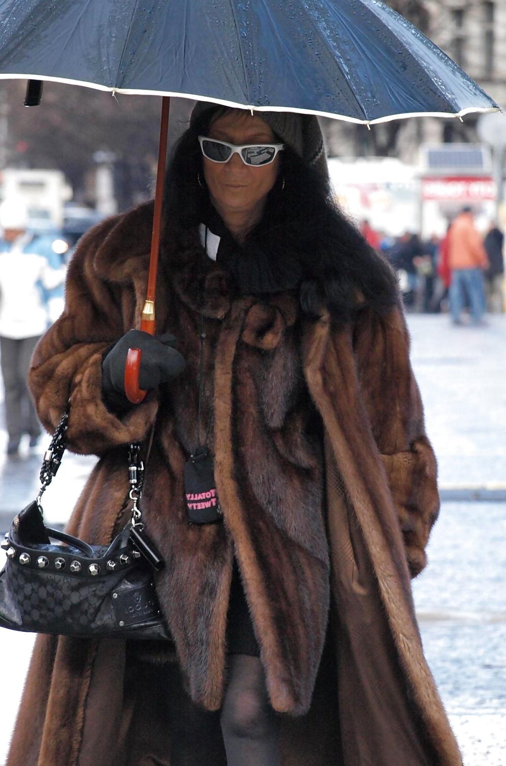 17P Fur layers