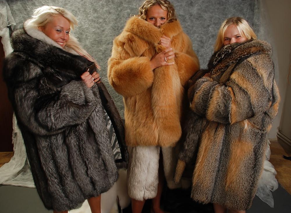 17P Fur layers