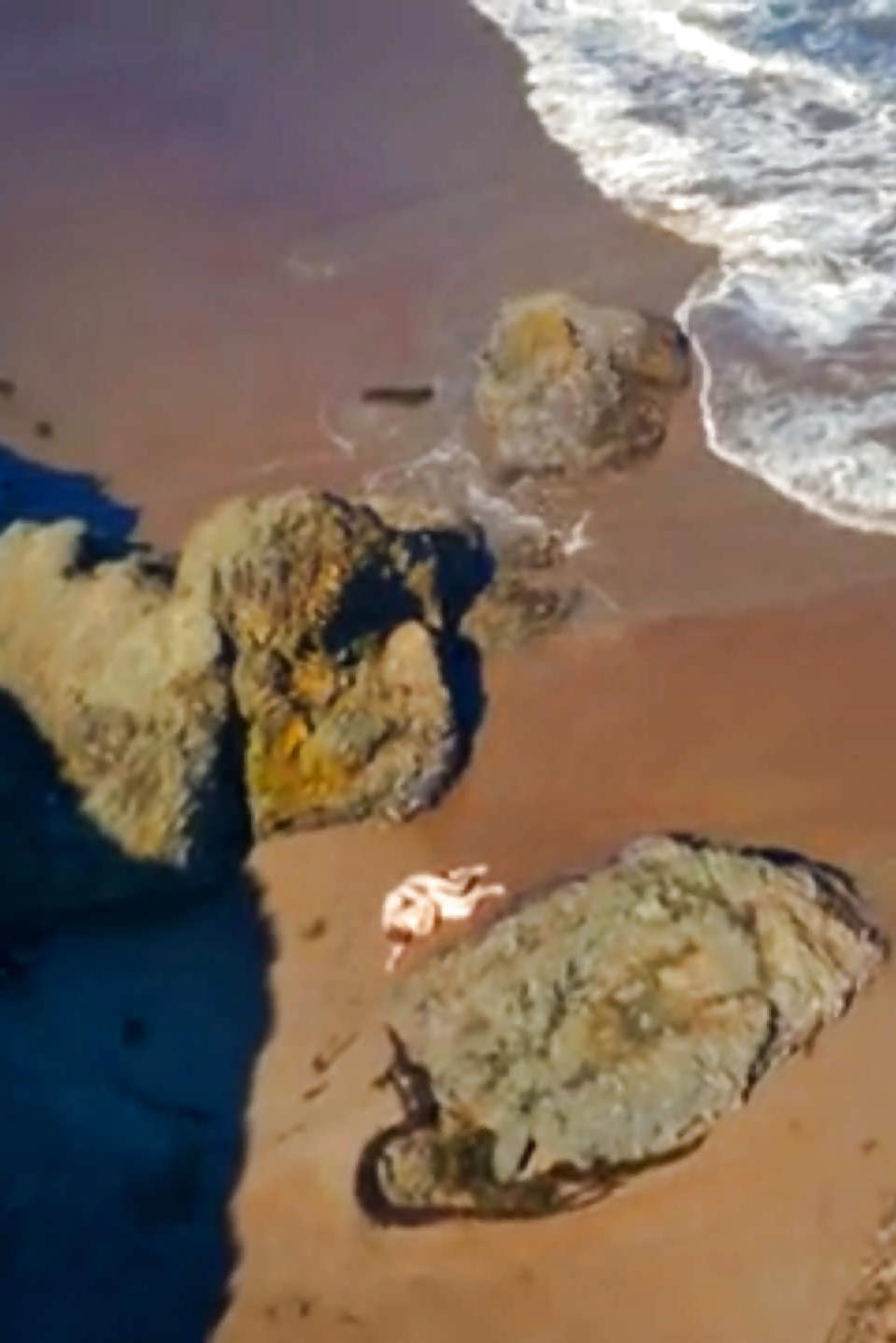 8P Drone Shots of People having Sex