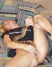 8P MATURE AND SNAKES