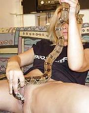 8P MATURE AND SNAKES