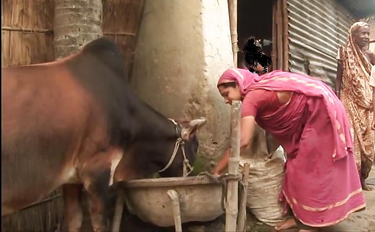 6P Bangladeshi rural woman bending over 