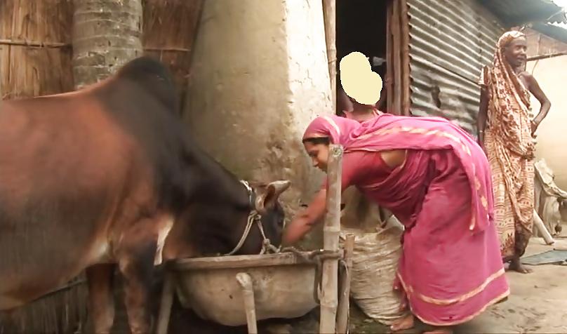 6P Bangladeshi rural woman bending over 