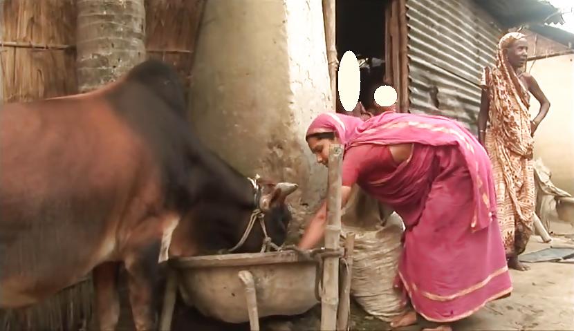 6P Bangladeshi rural woman bending over 