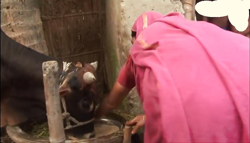 6P Bangladeshi rural woman bending over 