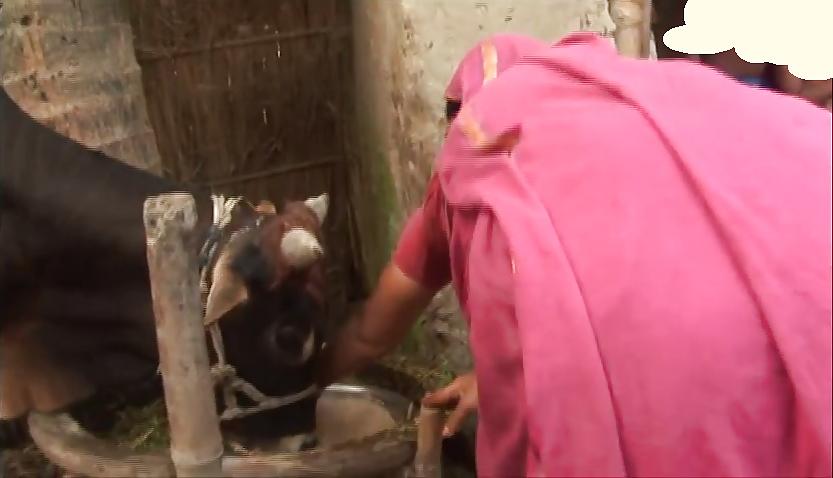 6P Bangladeshi rural woman bending over 