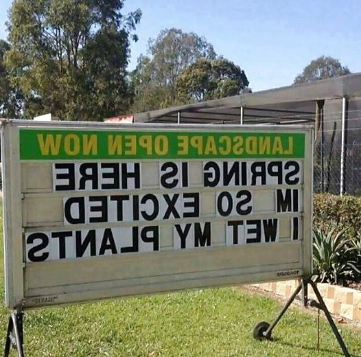 19P Funnies (STRAYA)
