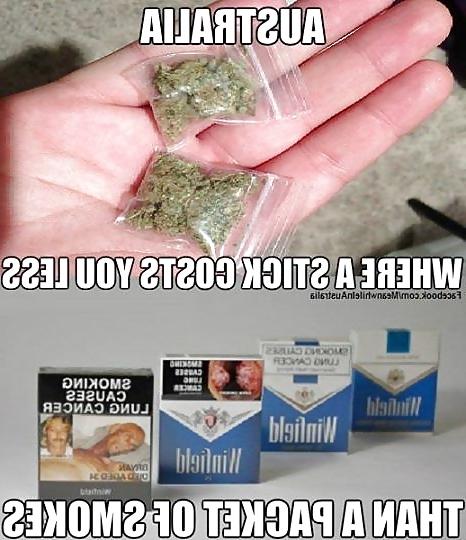 19P Funnies (STRAYA)