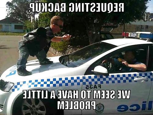19P Funnies (STRAYA)
