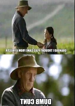 19P Funnies (STRAYA)