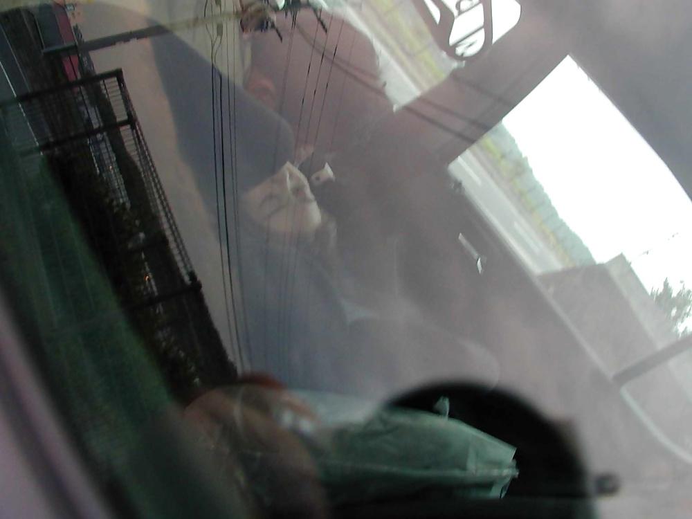 23P Japanese Couple Car Sex 16
